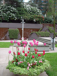 YVR