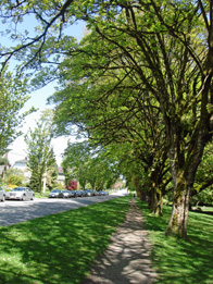 YVR
