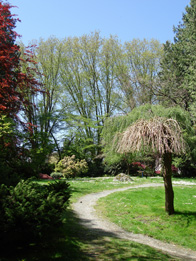 YVR
