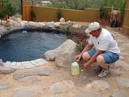 pool