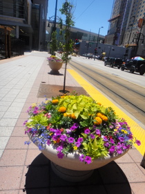 denver