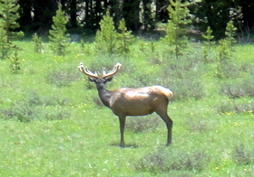 Colorado