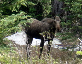 Colorado