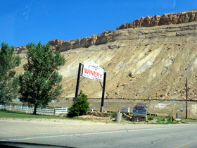 Palisade