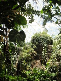 Biosphere2