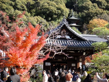kyoto