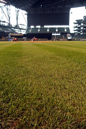 Safeco Field