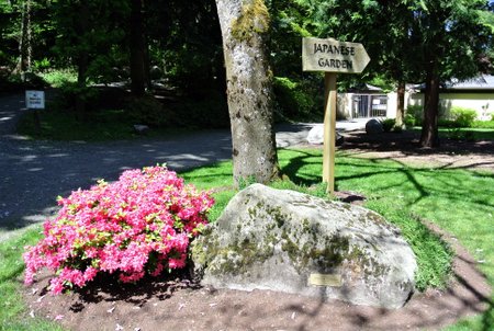Japanese Garden