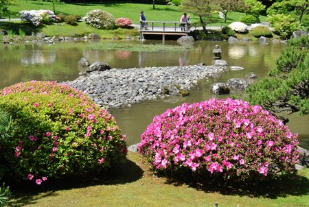 Japanese Garden