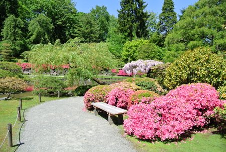 Japanese Garden