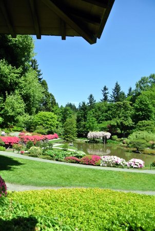 Japanese Garden