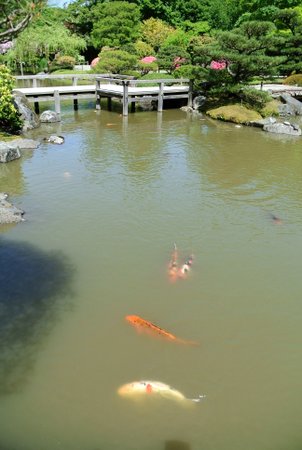 Japanese Garden