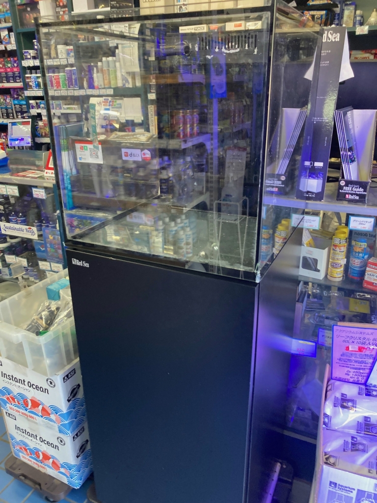 中古器具 | イーストアフリカ 海水魚/無脊椎 入荷・特売情報