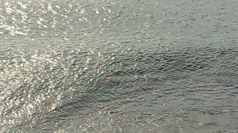 2014012109300001.jpg