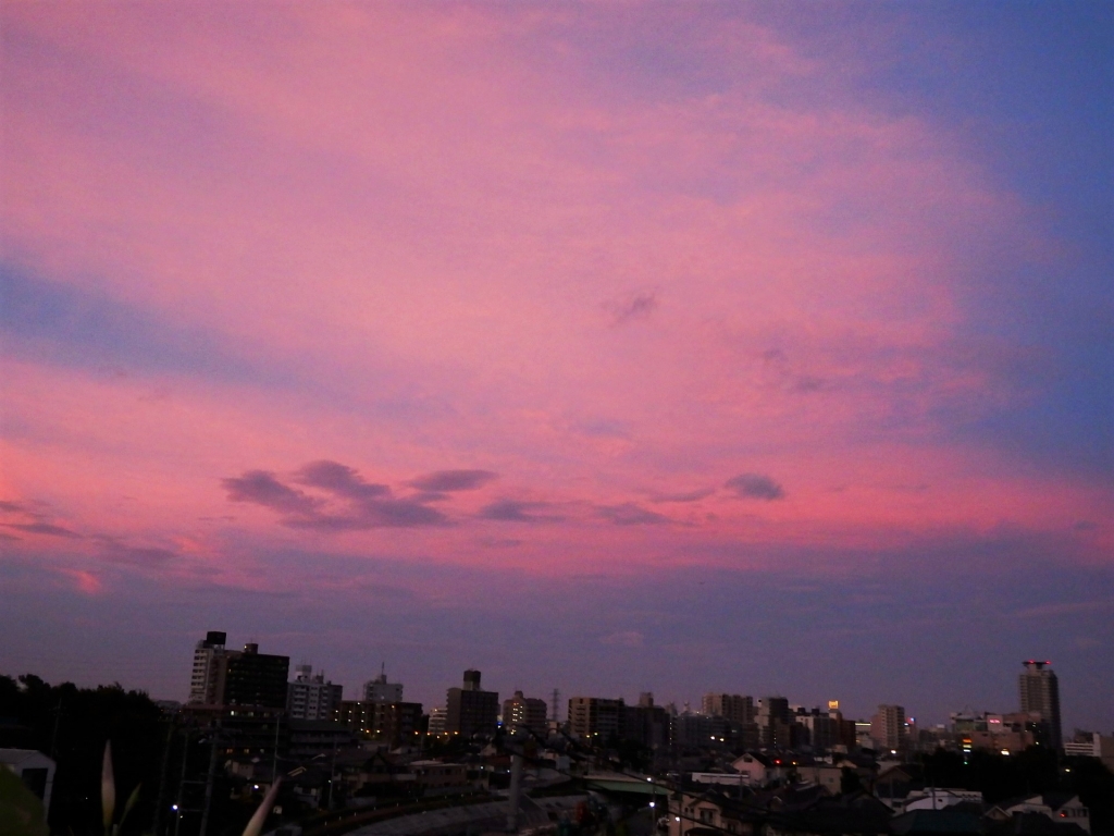 夕焼け
