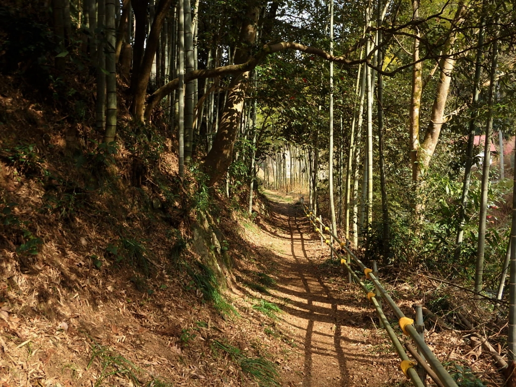 道