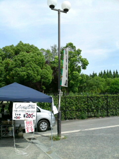 SN3J004500010001.jpg