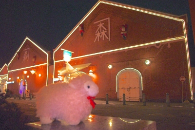 IMGP0627.JPG
