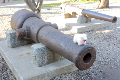 IMGP0604.JPG