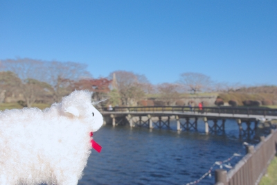 IMGP0592.JPG