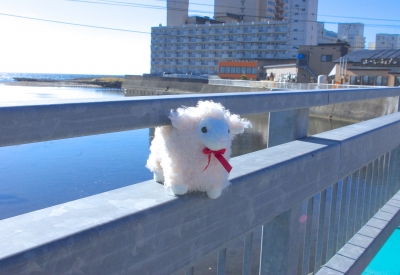 IMGP0498.JPG