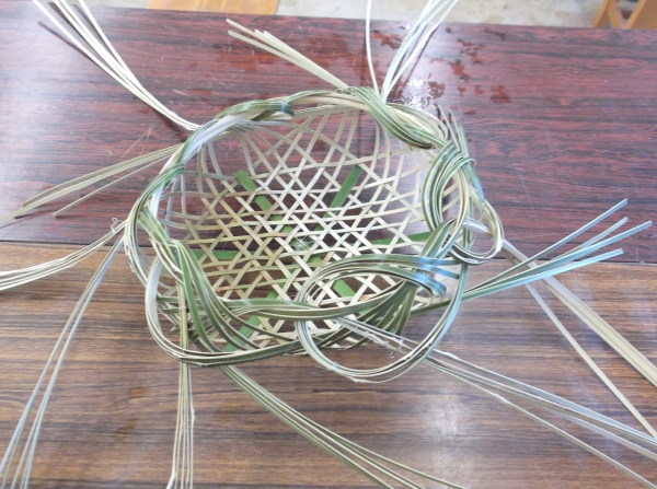 DSCF4173.JPG