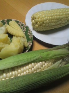 110627_2009~01.jpg