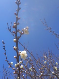 120312_1110~01.jpg