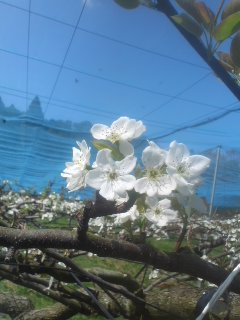 120418_1333~01.jpg