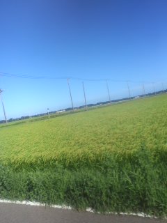 120819_1601~01.jpg