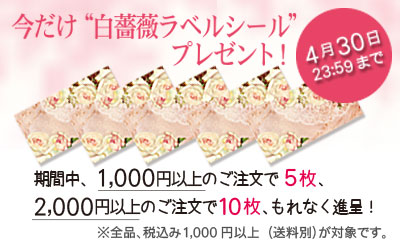 今だけプレゼントキャンペーン