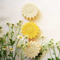 blog-16-spring.jpg
