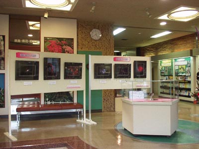 県立博物館エントランスの隕石と天体写真