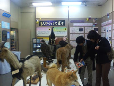県立博物館企画展「人のくらしと星々」の様子