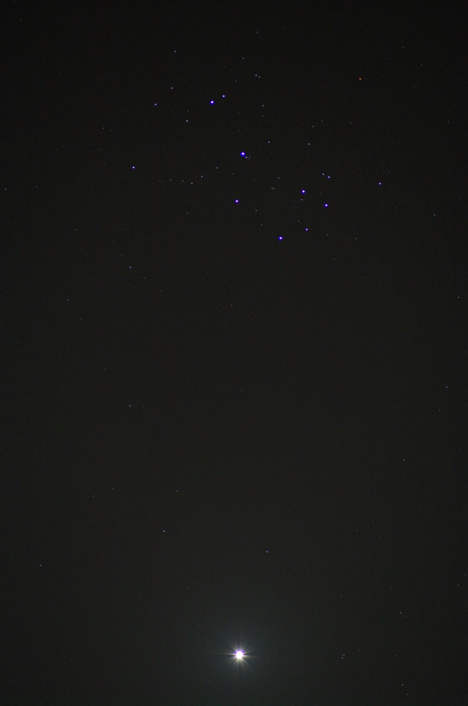 120331すばると金星(morinaga)