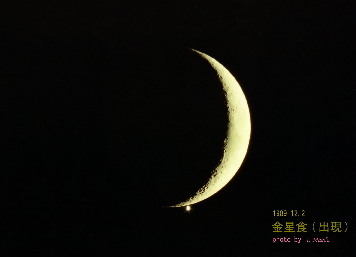 1989金星食(前田)