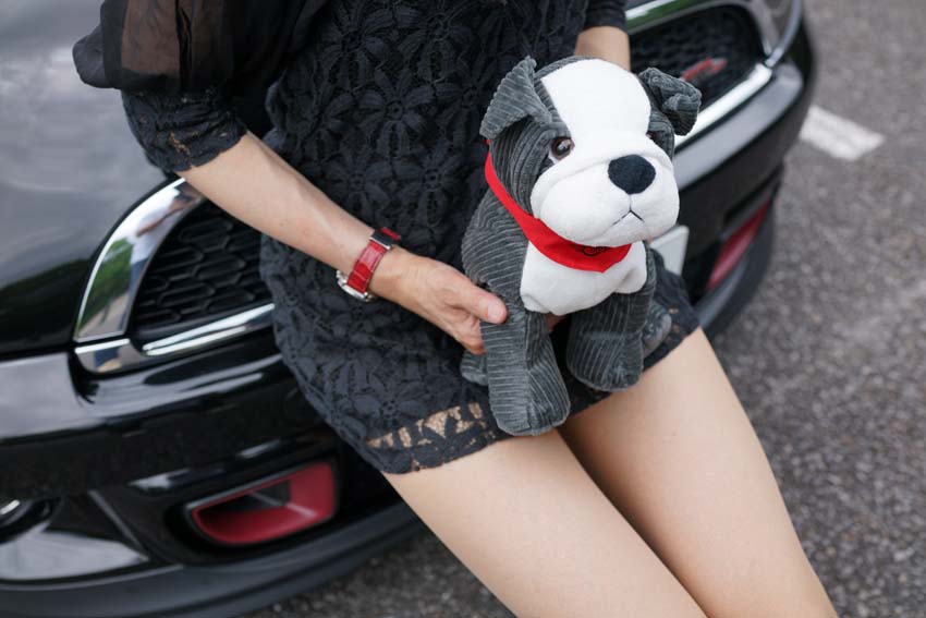 MINI new スパイク君? (MINI BULLDOG 2.0) | ナオの備忘録 MINI new スパイク君? (MINI BULLDOG 2.0) | ナオの備忘録