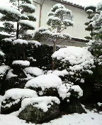 2010123111030000.jpg