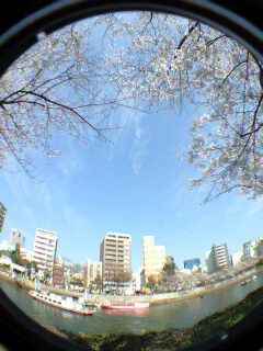 CA3A0306-0001.JPG
