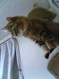 20070303_220895.jpg