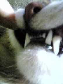 20070310_224552.jpg