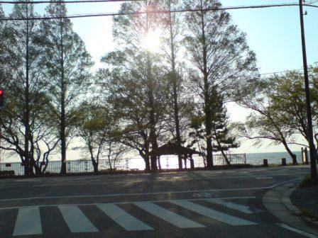 20090428 湖岸の西日