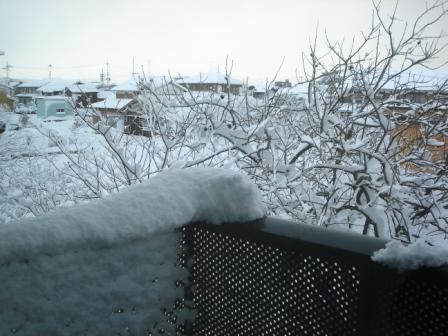20091219 どさっと落ちた雪