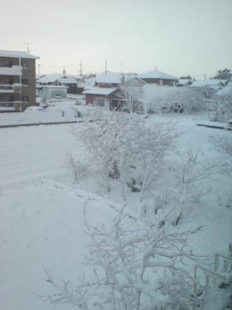 20091219 初積雪