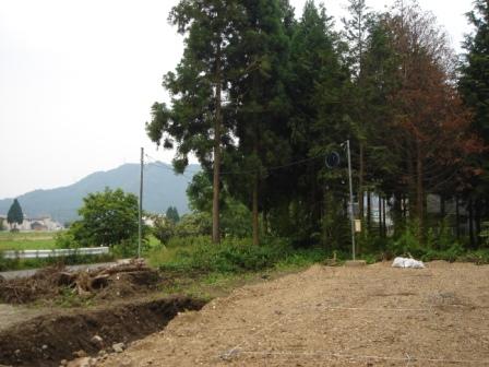 20100625 ²¾ÀßÅŵ¤.JPG