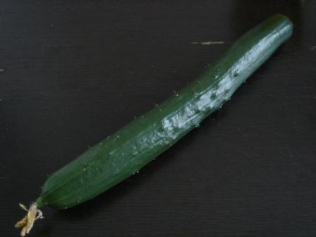 20100630¡¡½é¼ý³Ï¡ª¥¥å¥¦¥êÂè°ì¹æ¡ù.JPG