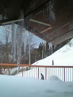 20060122_115124.jpg