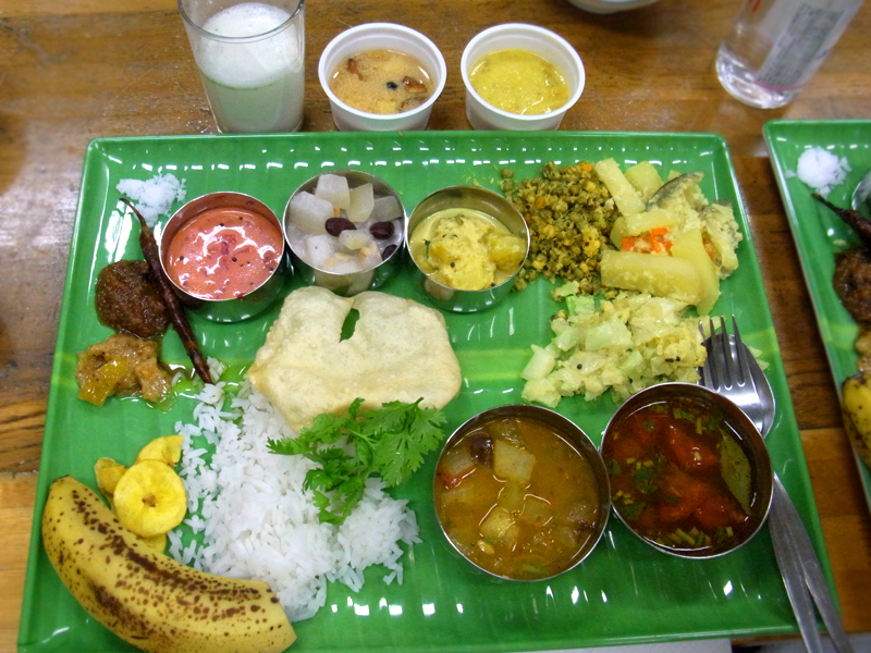 torayoga11.jpg