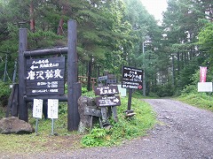 桜平への林道