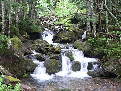 鳴石川